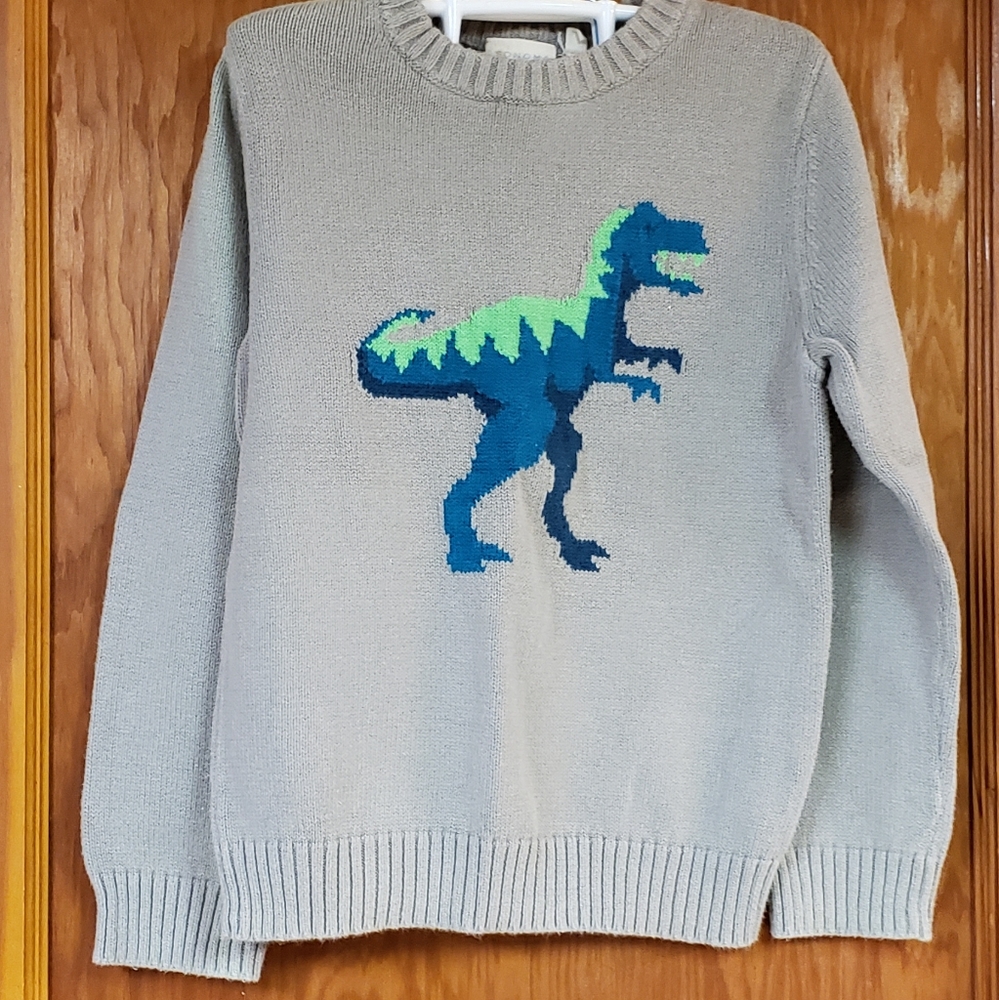 Dinosaur sweater